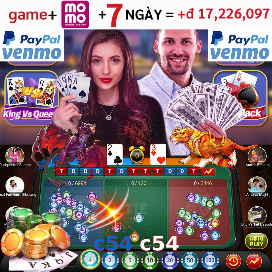 c54 c54