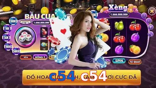 c54 c54